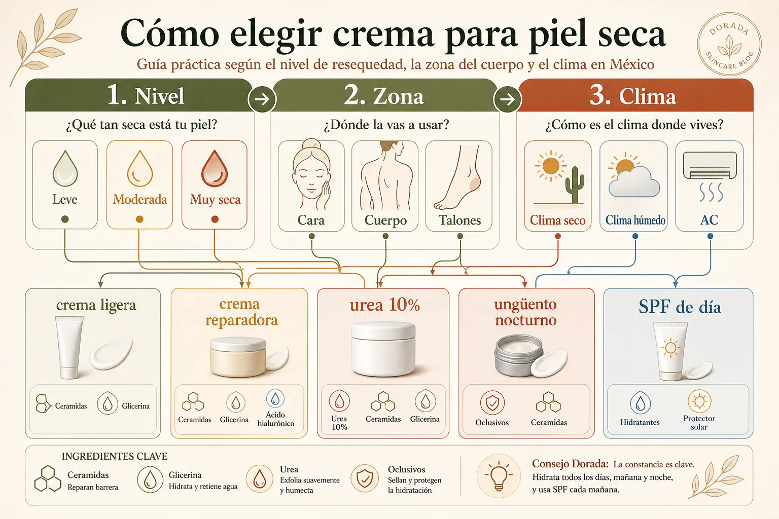 Diagrama de flujo para elegir crema según nivel de resequedad, clima y tipo de piel